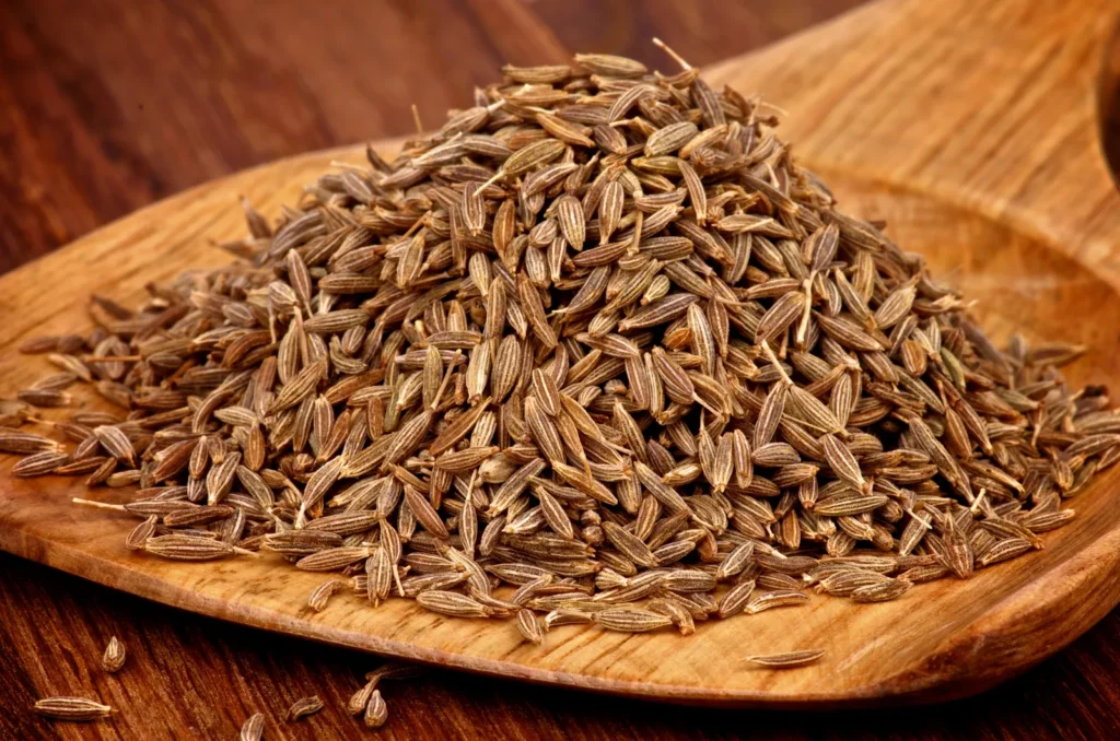 Best cumin seeds exporter in India