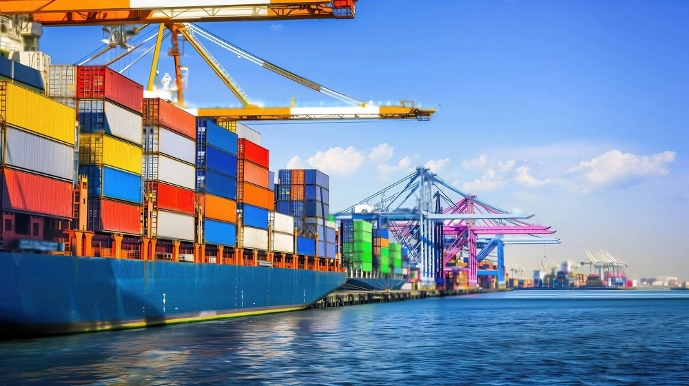 Pulses Exporters in India | ashapura exporters blogs